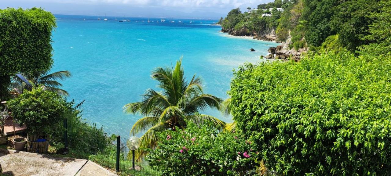 Vue Mer, Piscine, Appartement 4 Personnes Le Gosier  Exterior photo